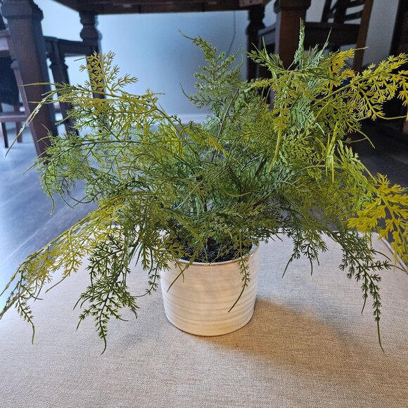 Studio Mcgee Faux Fern Plant - Picture 1 of 3